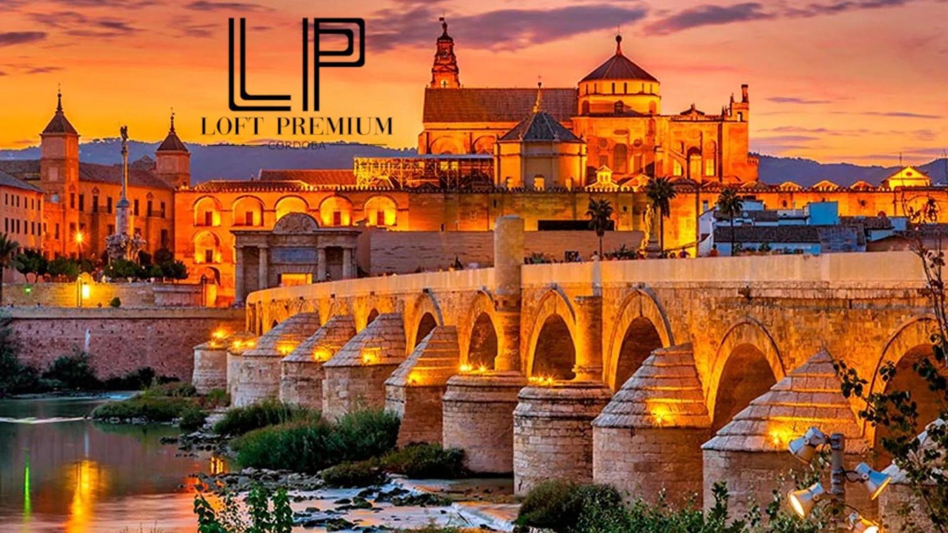 Loft Premium Apartment Cordoba